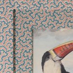 Red Billed Toucan on Dulcie