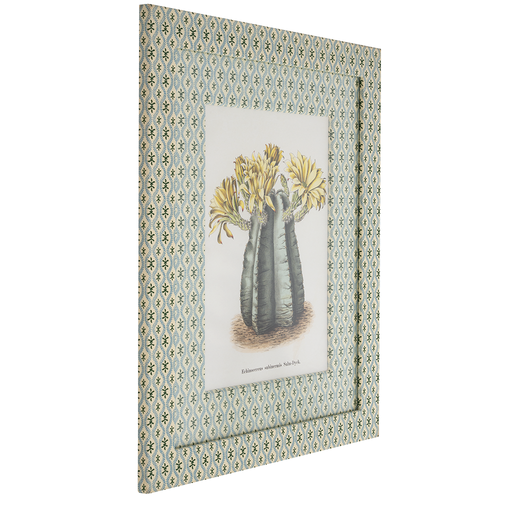 Framed botanical print of Echinocereus Subinermis cactus with yellow flowers in patterned frame.