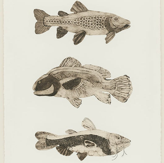 Brenda Bogart Fish Prints Collection Image
