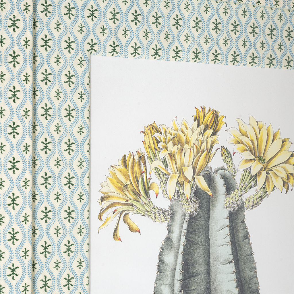Framed botanical illustration of Echinocereus Subinermis cactus with yellow flowers against patterned wallpaper.
