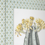 Framed botanical illustration of Echinocereus Subinermis cactus with yellow flowers against patterned wallpaper.