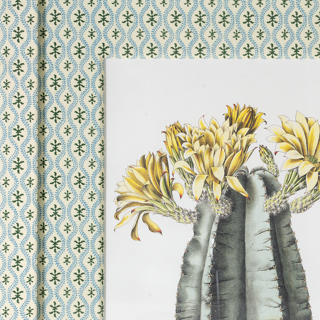 Framed botanical illustration of Echinocereus Subinermis cactus with yellow flowers against patterned wallpaper.