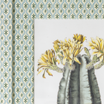Framed botanical illustration of Echinocereus Subinermis cactus with yellow flowers against patterned wallpaper.