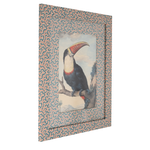 Red Billed Toucan on Dulcie