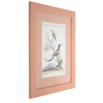 Hummingbirds on Coral