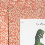 Turaco on Coral