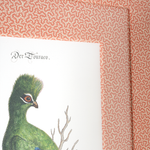 Turaco on Coral