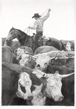 Black and white illustration of a cowboy on horseback surrounded by longhorn cattle.