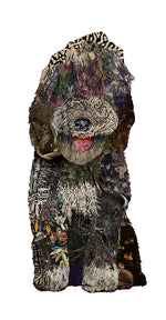 Bonne - French Water Dog