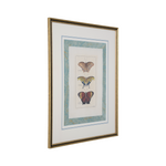 Framed artwork with butterfly illustrations on a white background