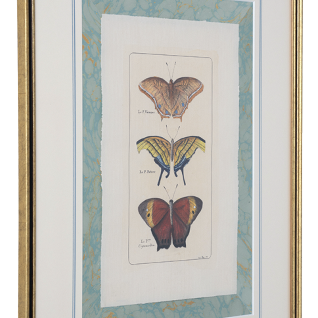 Framed artwork with illustrations of butterflies on a decorative background
