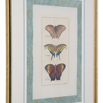 Framed artwork with illustrations of butterflies on a decorative background