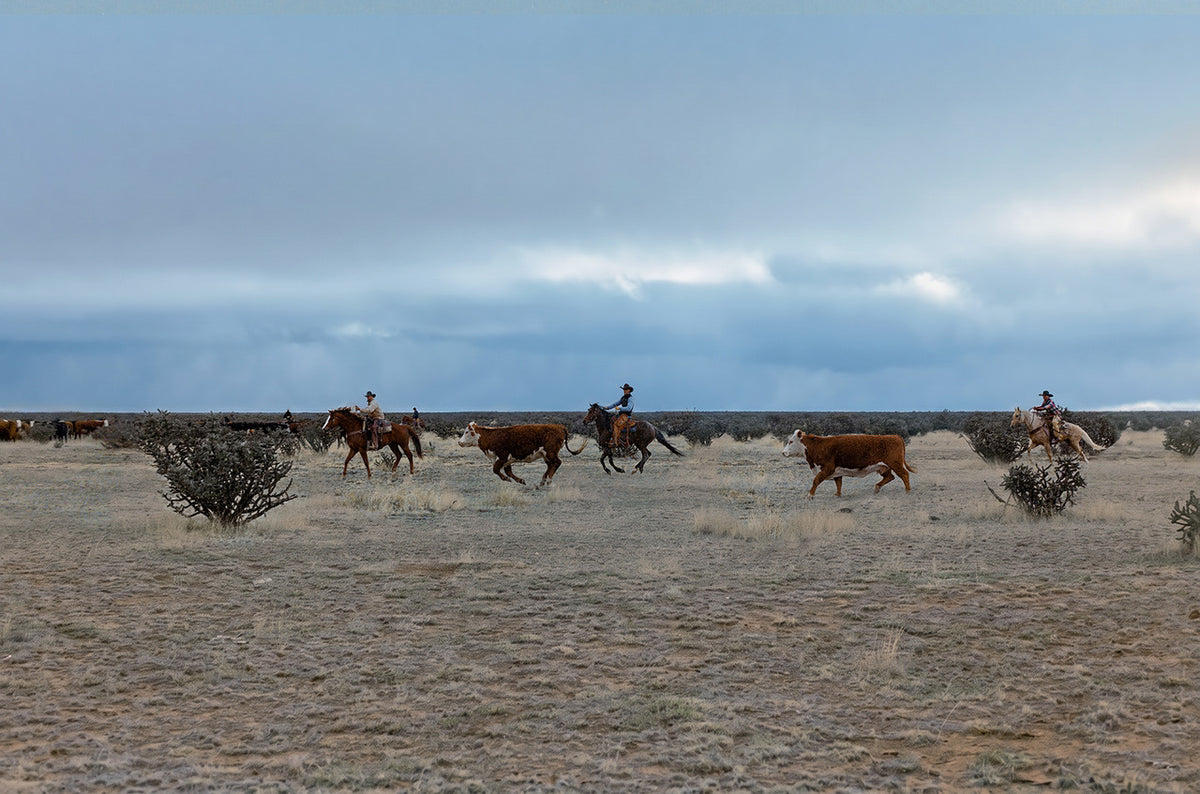 Wide landscape scene of a cowboy riding horses and herding brown cattle across a dry grassy plain under a cloudy blue sky.