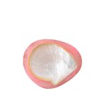 Pink shell with a white interior on a white background