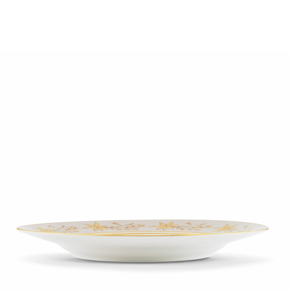 White plate with gold decorative edge on a white background