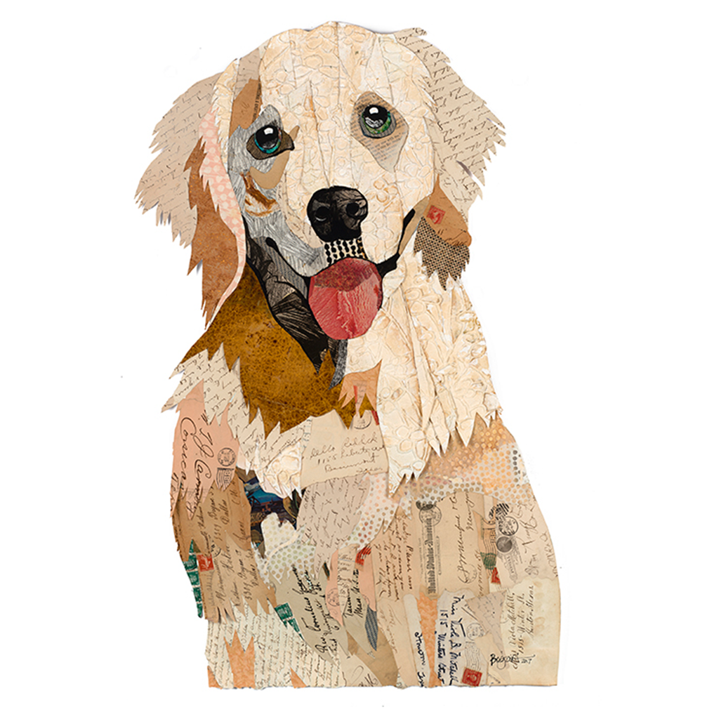 Golden Retriever Adult (1)