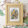 A framed vintage-style bird illustration print with a patterned gold and beige frame, displayed on a botanical wallpaper background.