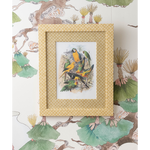 A framed bird illustration print with a patterned gold and beige frame, displayed against a matching botanical wallpaper featuring green leaves and brown branches.