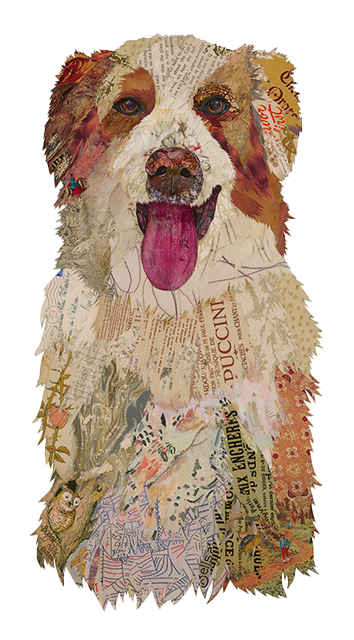 Collage of a dog's face made from various papers and textures on a white background