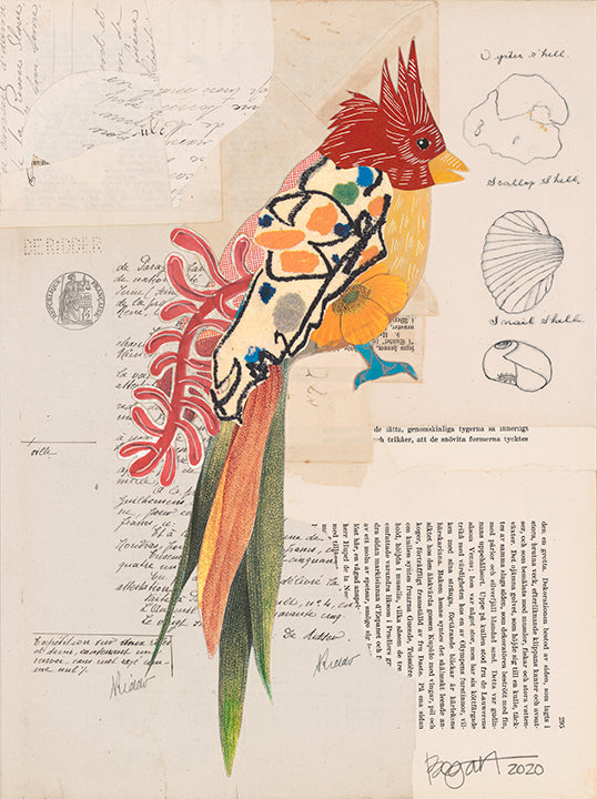 Brenda Bogart Bird 2