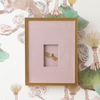 A square gold picture frame with a wide dusty pink mat, featuring a small dragonfly mounted in the center recess, set against a botanical patterned wallpaper.