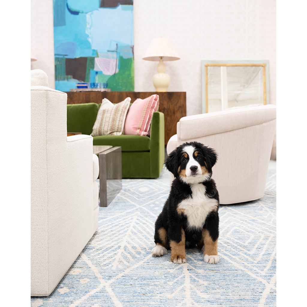 An antique walnut sideboard with bronze details, featuring a combination of drawers and doors, placed in a room with modern furniture. A dog is sitting in front of the sideboard.