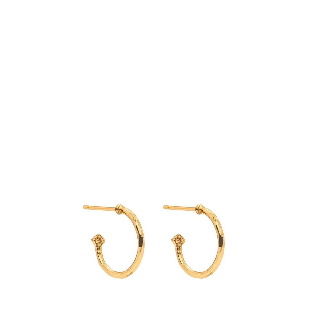 Gold hoop earrings on a white background