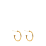 Gold hoop earrings on a white background