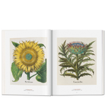 Photos of flowers in book