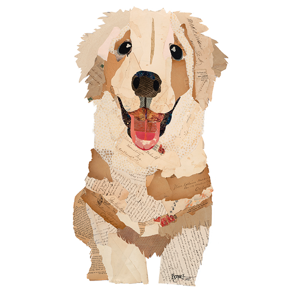 Golden Retriever Puppy