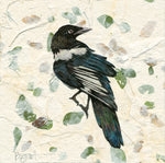 Magpie 1