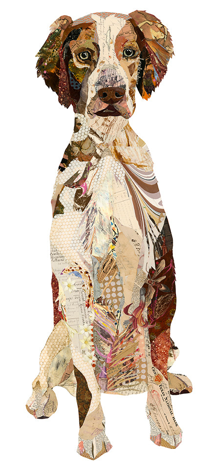 Chester Brittany Spaniel