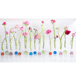 flute vase collection with flowers