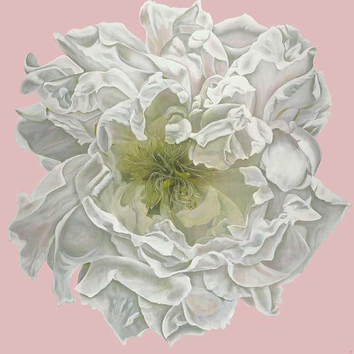 Joey Lancaster Opening Night Floral Print in Blush