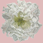 Joey Lancaster Opening Night Floral Print in Blush