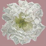 Joey Lancaster Opening Night Floral Print in Lavender