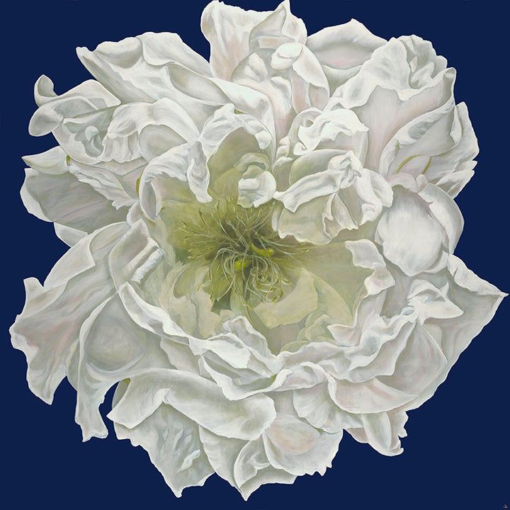 Joey Lancaster Opening Night Floral Print in Navy