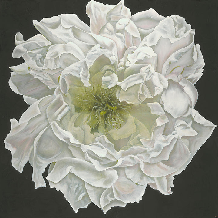 Joey Lancaster Opening Night Floral Print in Steel