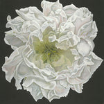 Joey Lancaster Opening Night Floral Print in Steel