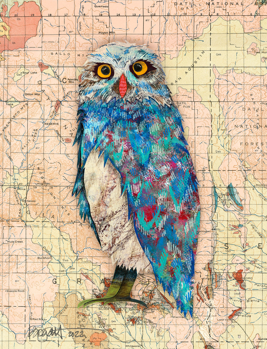 Screech Owl 10– Blue Print