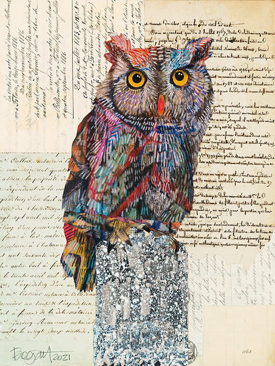 Brenda Bogart Screech Owl 5