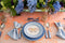 Profile view of Tablescape Display with Haviland & Parlon Lexington Dinner Plate in Azure