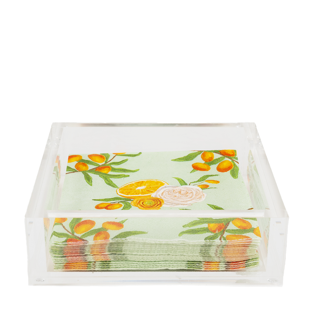 head on view of acrylic napkin holder with paper napkins