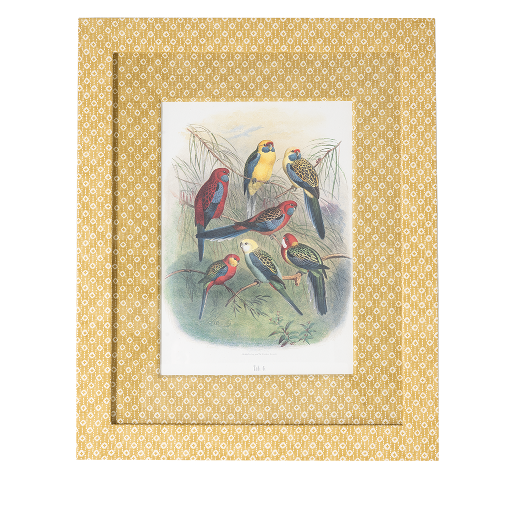 Parrots on Marigold