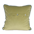 pillow with green velvet back