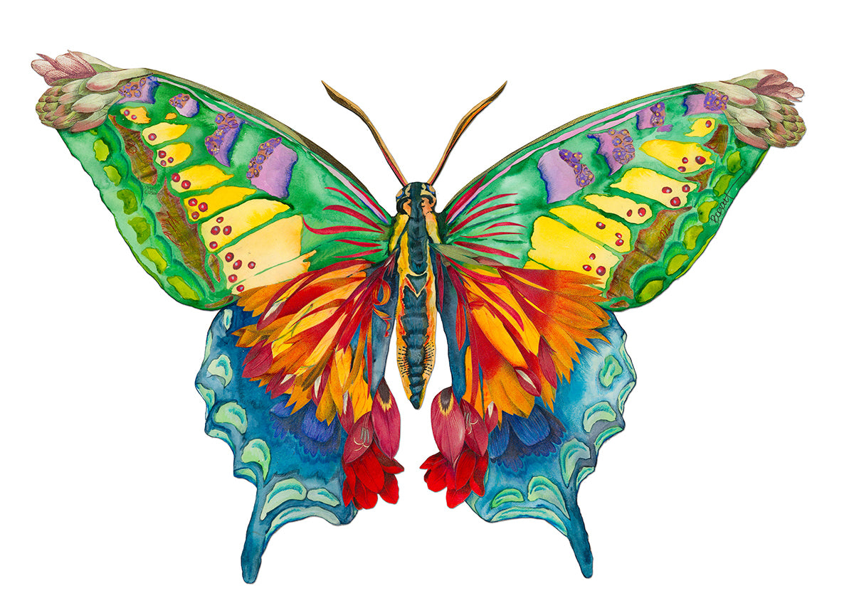 Elijah Butterfly Art Print by Brenda Bogart