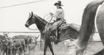 Cowboy on horseback with cattle in a pen