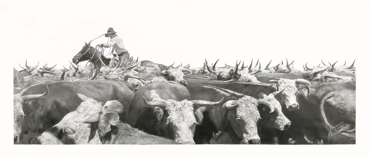 Black and white illustration of a cowboy on horseback with a herd of longhorn cattle.