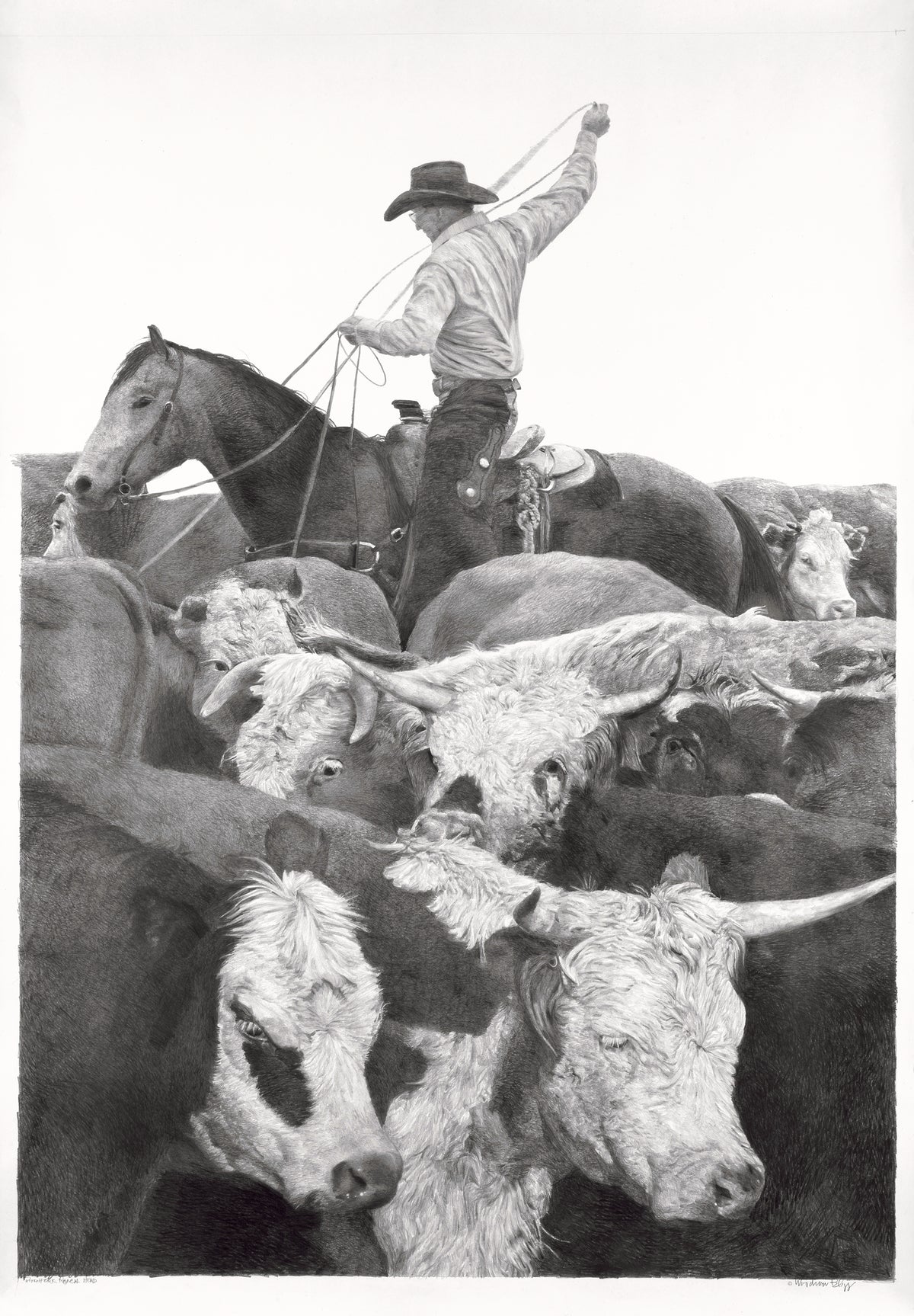 Black and white illustration of a cowboy on horseback surrounded by longhorn cattle.