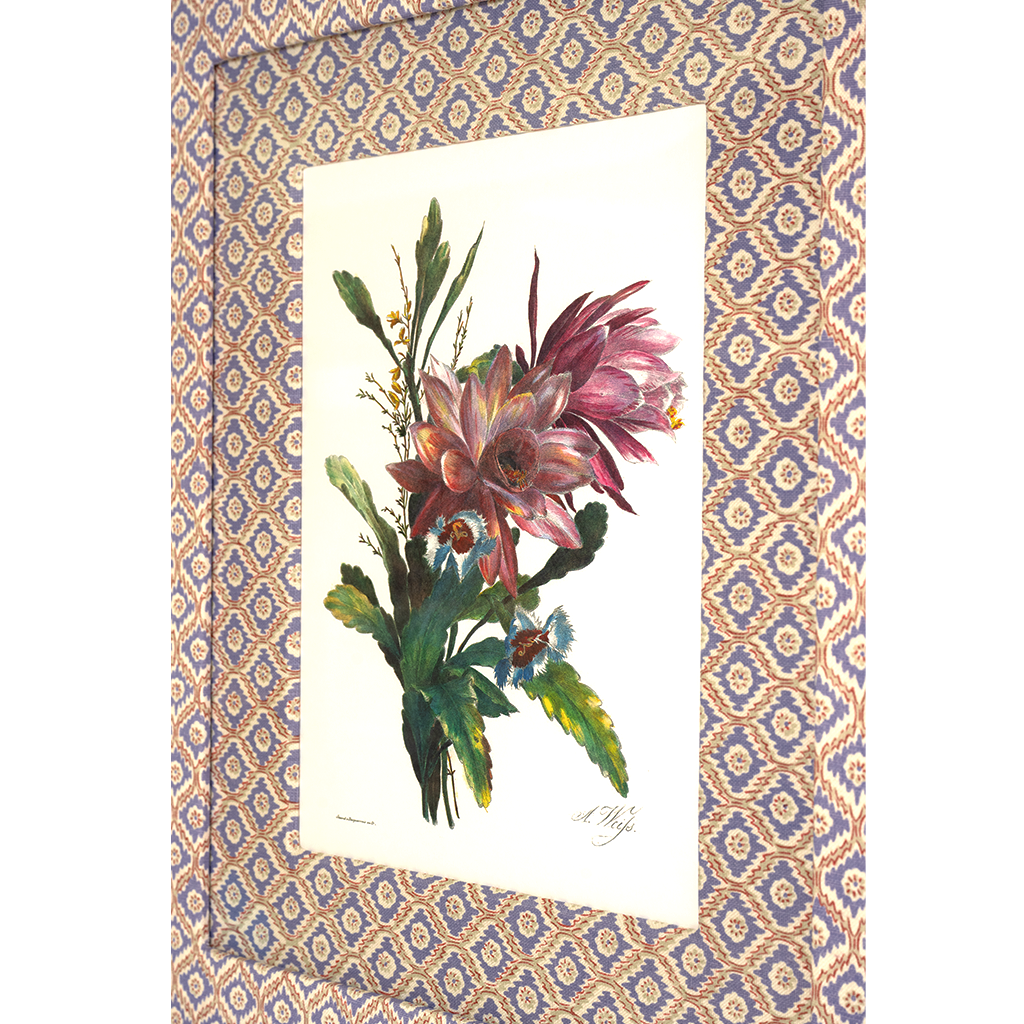 Bromeliad on Ikat